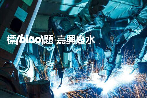 標(biāo)題 嘉興廢水處理廠家：解密行業(yè)隱形冠軍？